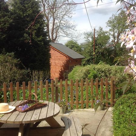 Beck Cottage, Wood Green, New Forest Uk Breamore Exterior photo