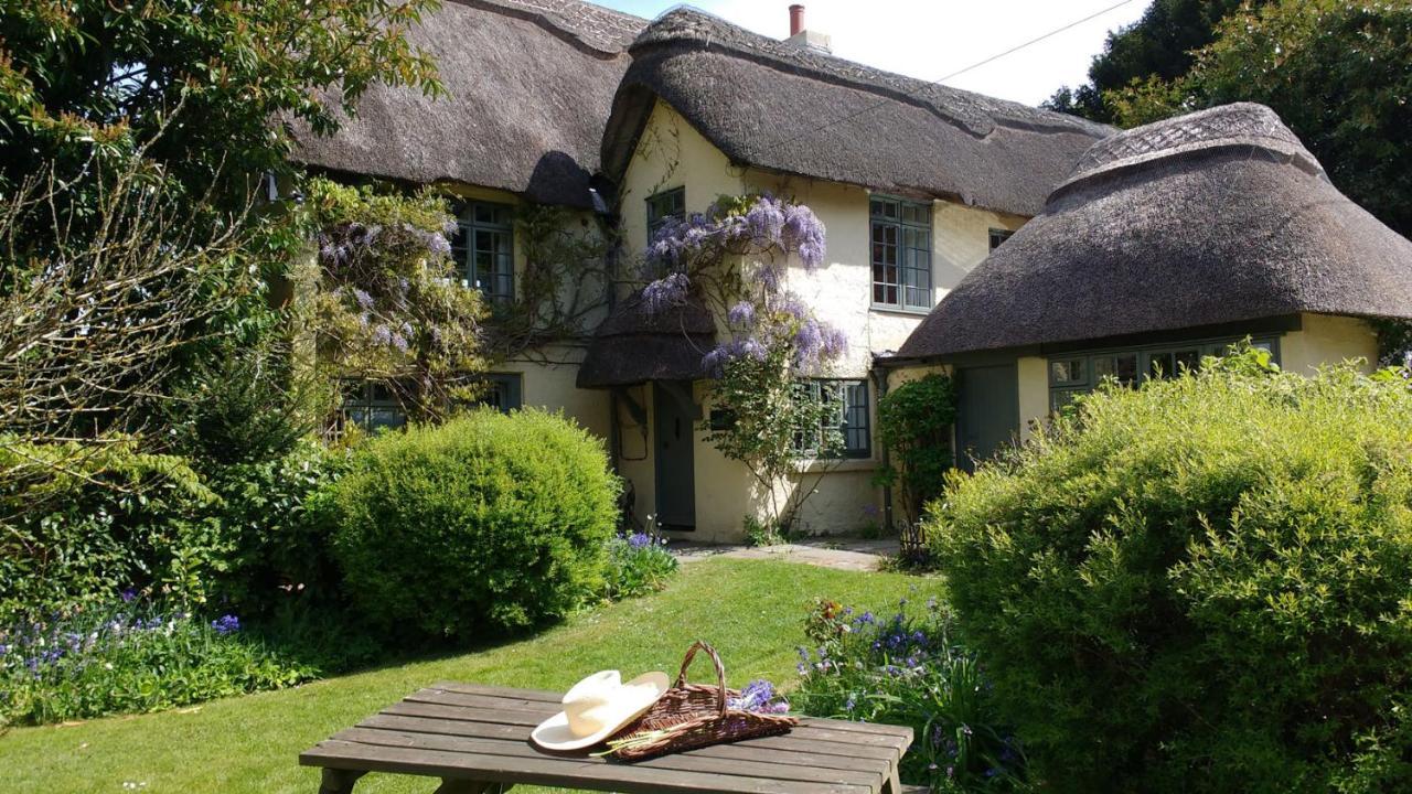 Beck Cottage, Wood Green, New Forest Uk Breamore Exterior photo