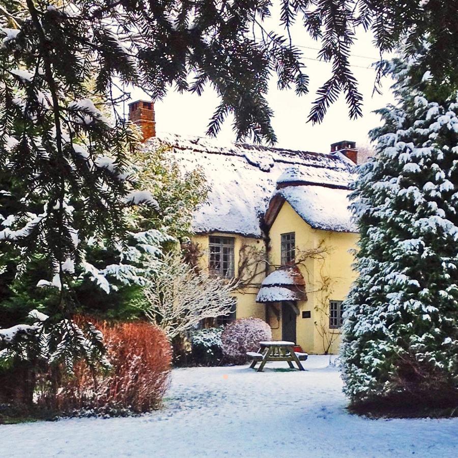 Beck Cottage, Wood Green, New Forest Uk Breamore Exterior photo